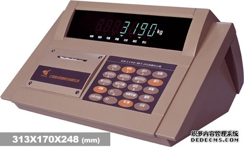 耀華XK3190—DM1稱重儀表